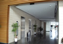 大手専門学校